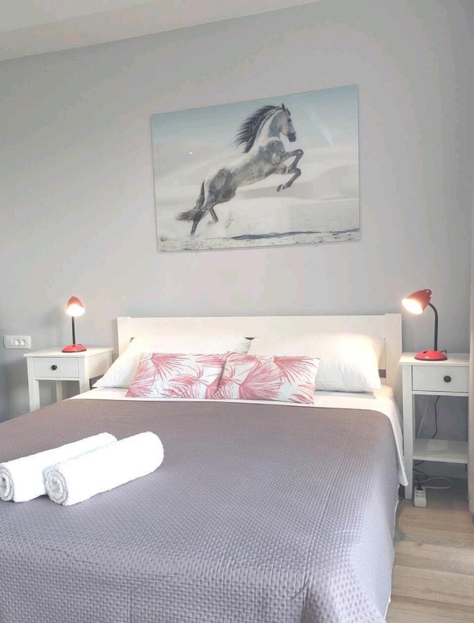 Gorgeous Dubrovnik Sea View Apartment With Free Parking Экстерьер фото